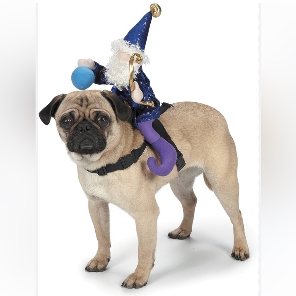 Zach and Zoe dog harness size extra large, Halloween, Merlin, Court jester